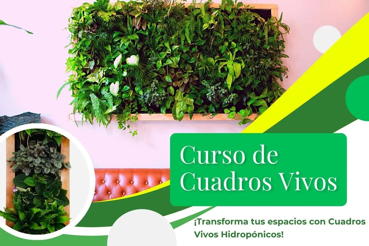 Jardines Verticales - Curso Cuadros Vivos