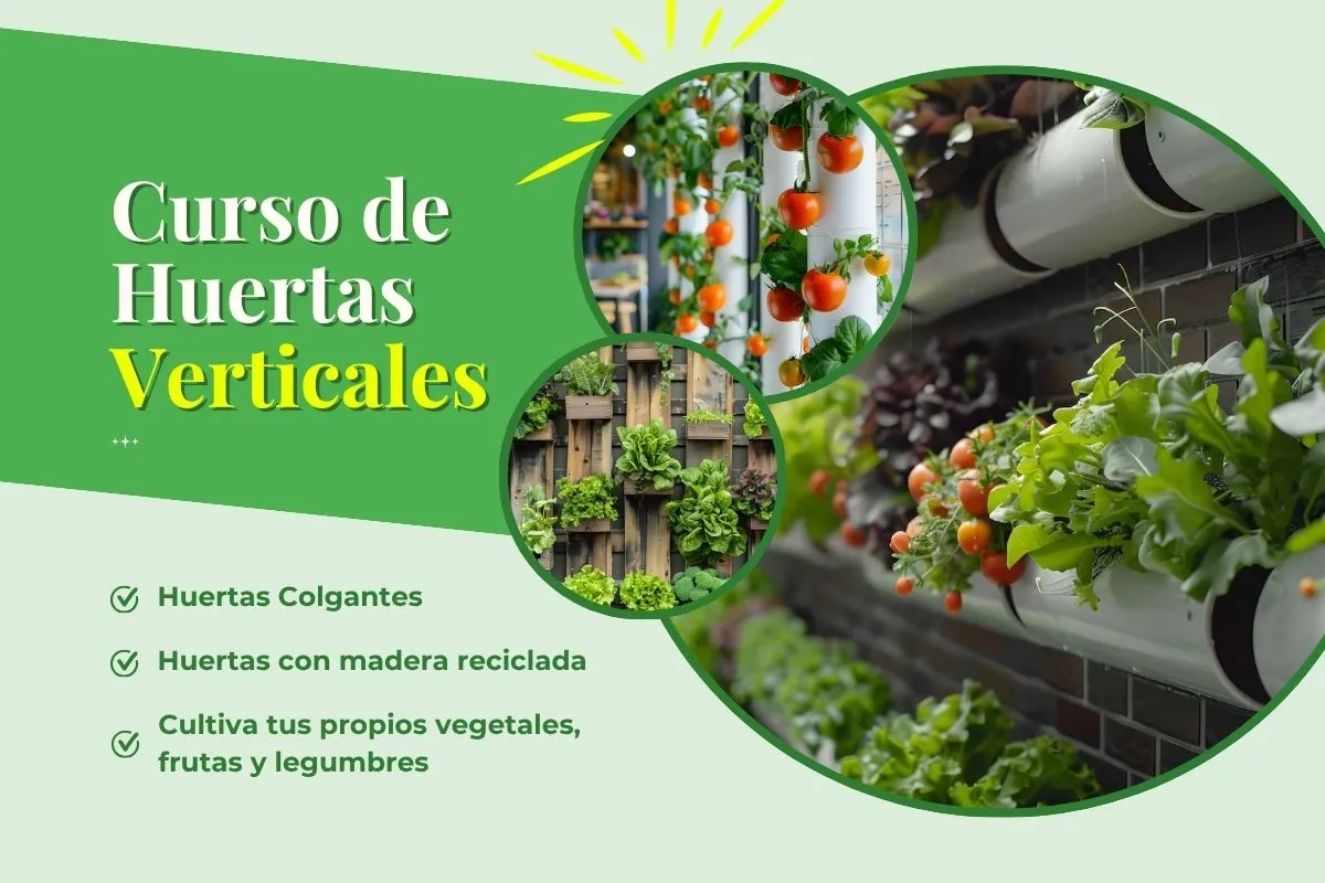 Jardines Verticales - Curso Huertas Verticales