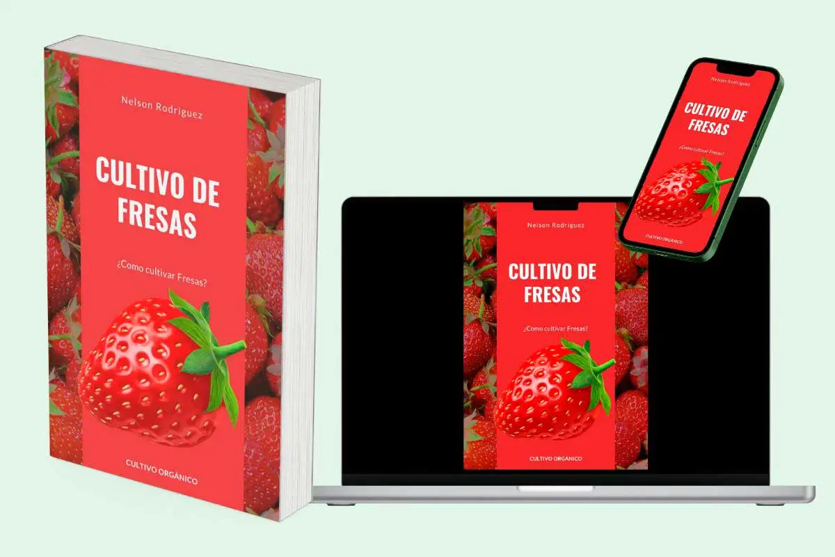 Jardines verticales - Ebook Cultivo de Fresas
