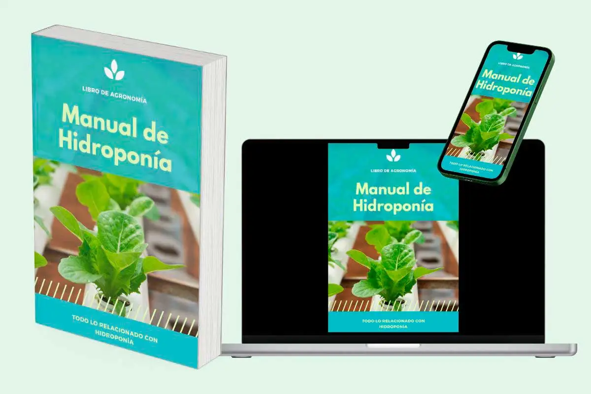 Jardines verticales - Ebook Manual de Hidroponia