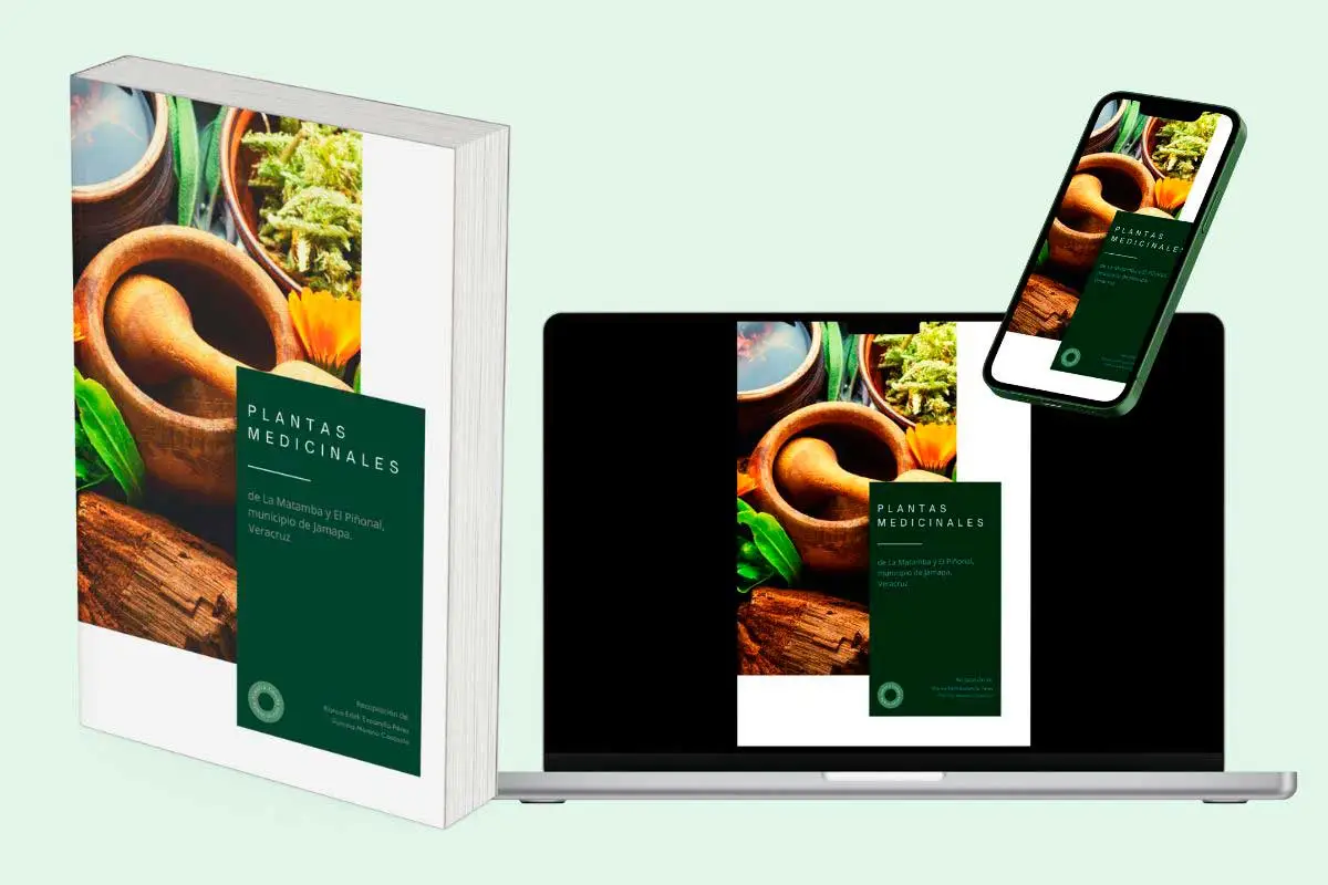 Jardines verticales - Ebook Plantas medicinales